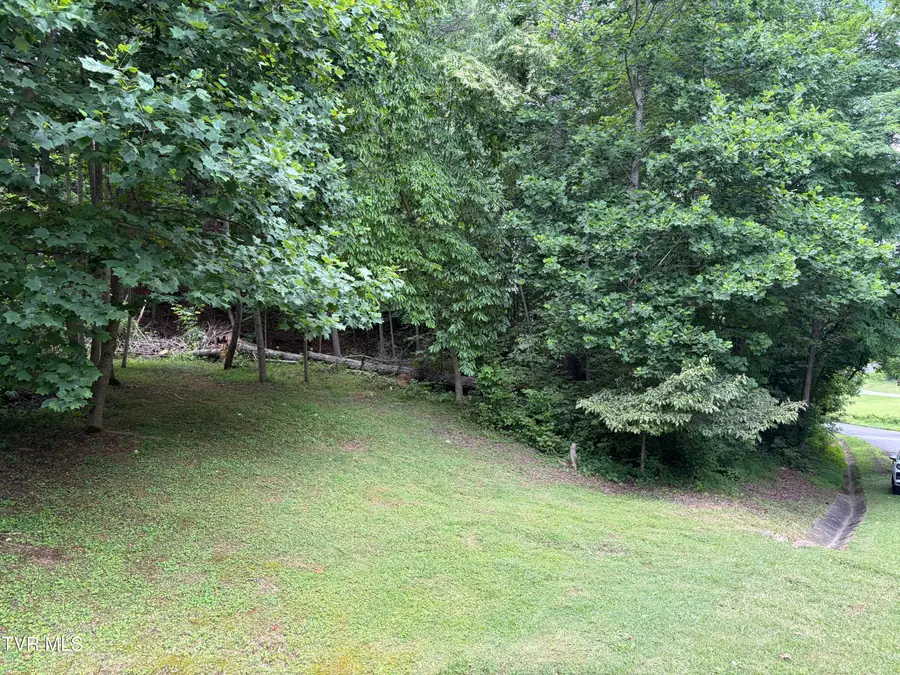 Tbd Woodhurst Street, Weber City, VA 24290 - #3