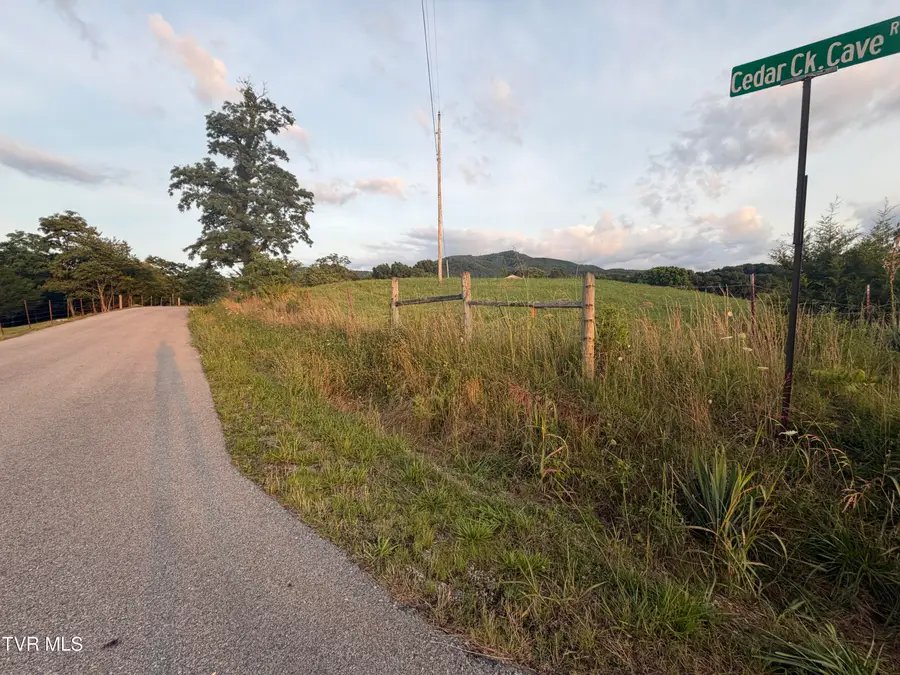 Tbd Cedar Creek Cave Road #1r3,4, Greeneville, TN 37743 - #3