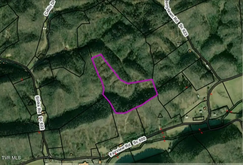 Tbd Fairview Road, Duffield, VA 24244 - #1