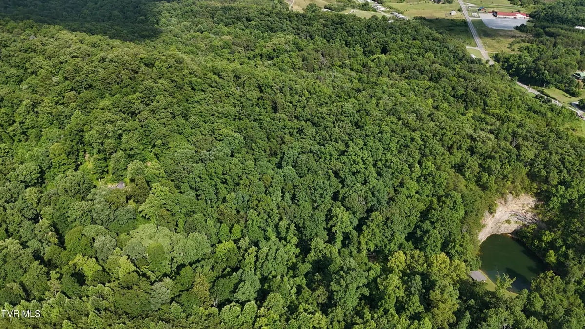 Lot 9 Stone Mtn Road, Bulls Gap, TN 37711 - #1
