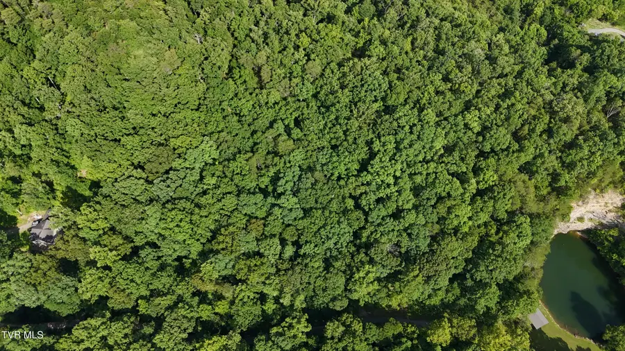 Lot 9 Stone Mtn Road, Bulls Gap, TN 37711 - #2