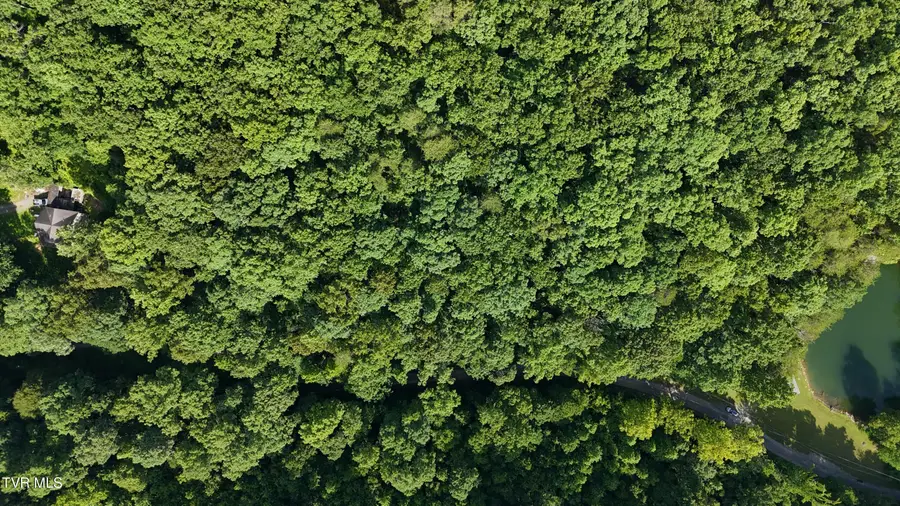 Lot 9 Stone Mtn Road, Bulls Gap, TN 37711 - #3