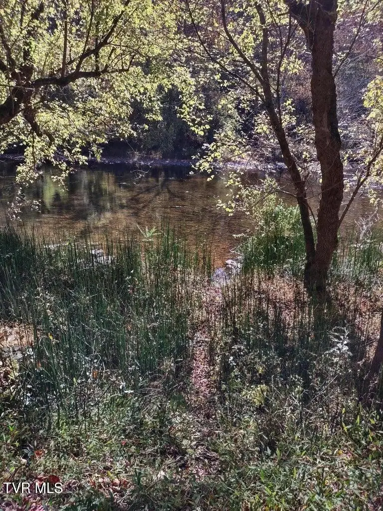 Tbd North Fork River Road, Abingdon, VA 24210 - #1