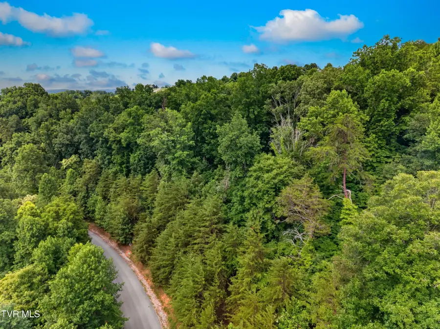 Lot 452 Silver Trail, New Tazewell, TN 37825 - #3