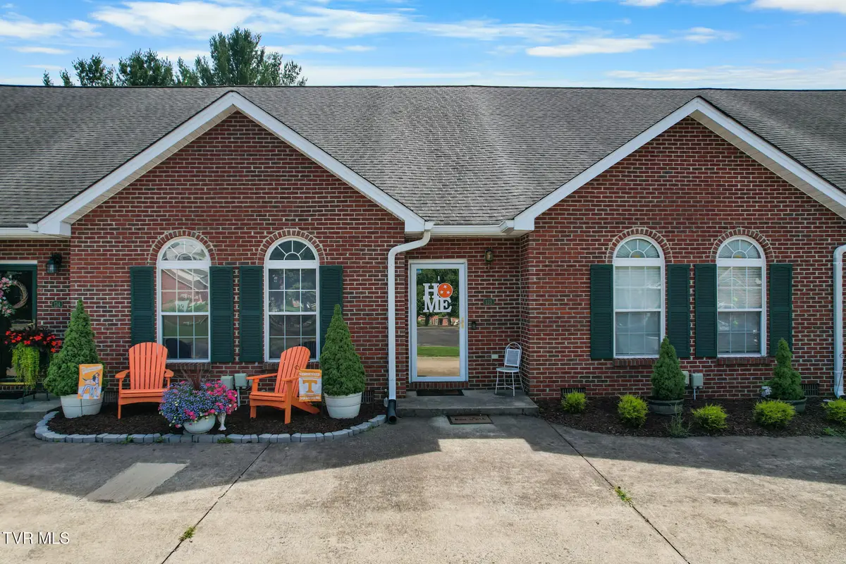 133 Eagle View Private Drive #133, Blountville, TN 37617 - #1