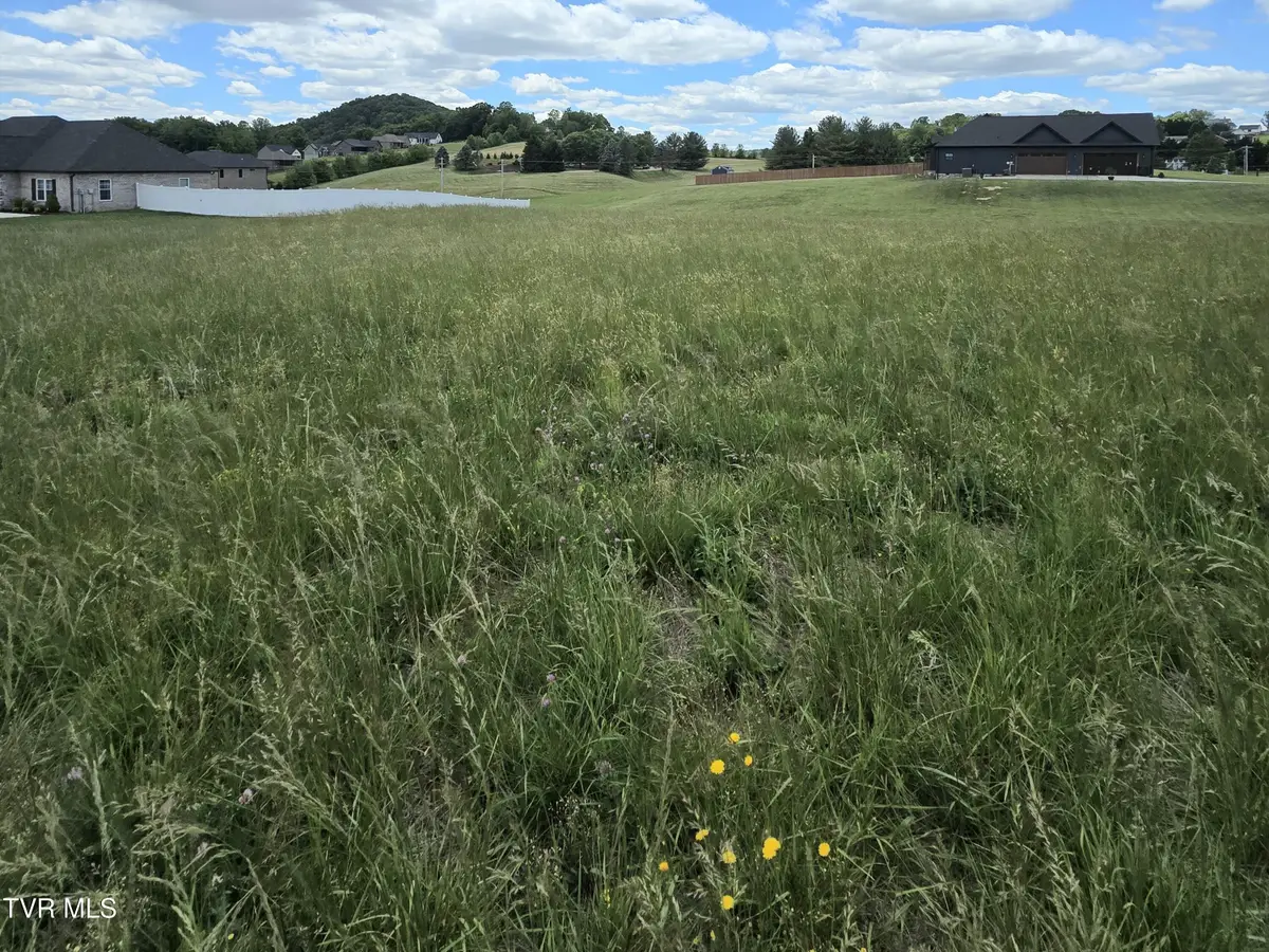 0 Cattlemans Trail, Jonesborough, TN 37659 - #1