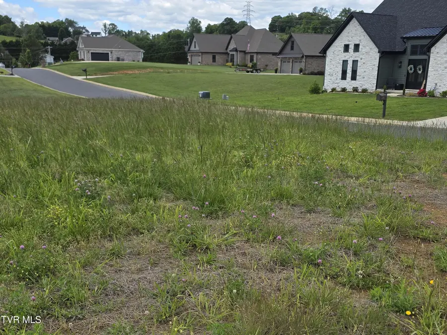 0 Cattlemans Trail, Jonesborough, TN 37659 - #3
