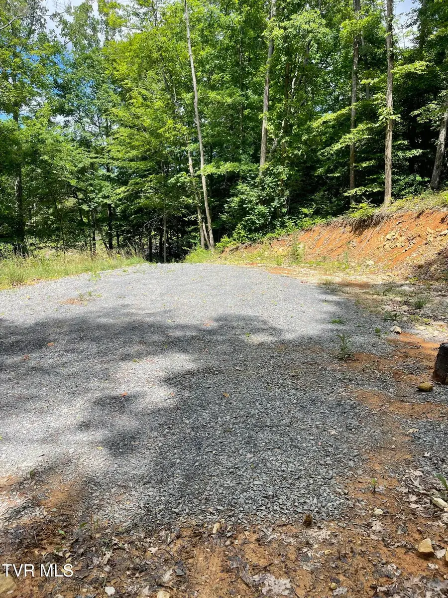 Tbd Johnson Hollow Road, Blountville, TN 37617 - #3