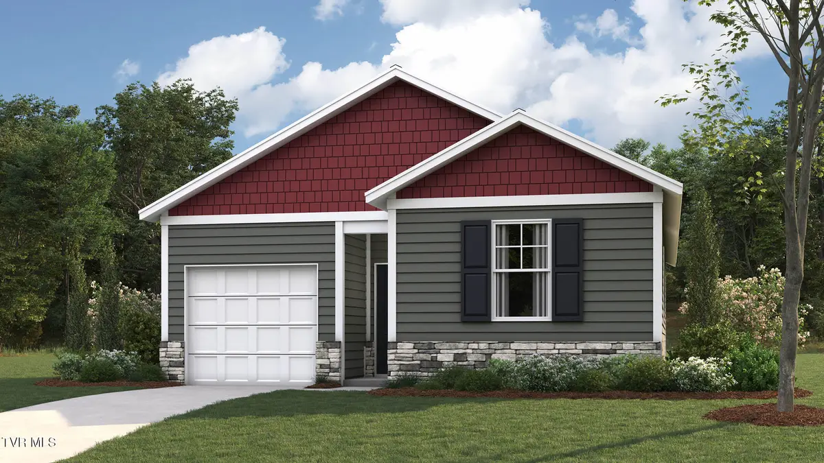 324 Chimney View Loop, Blountville, TN 37617 - #1