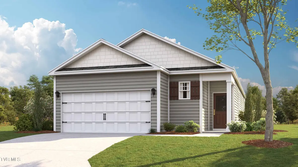 316 Chimney View Loop, Blountville, TN 37617 - #1