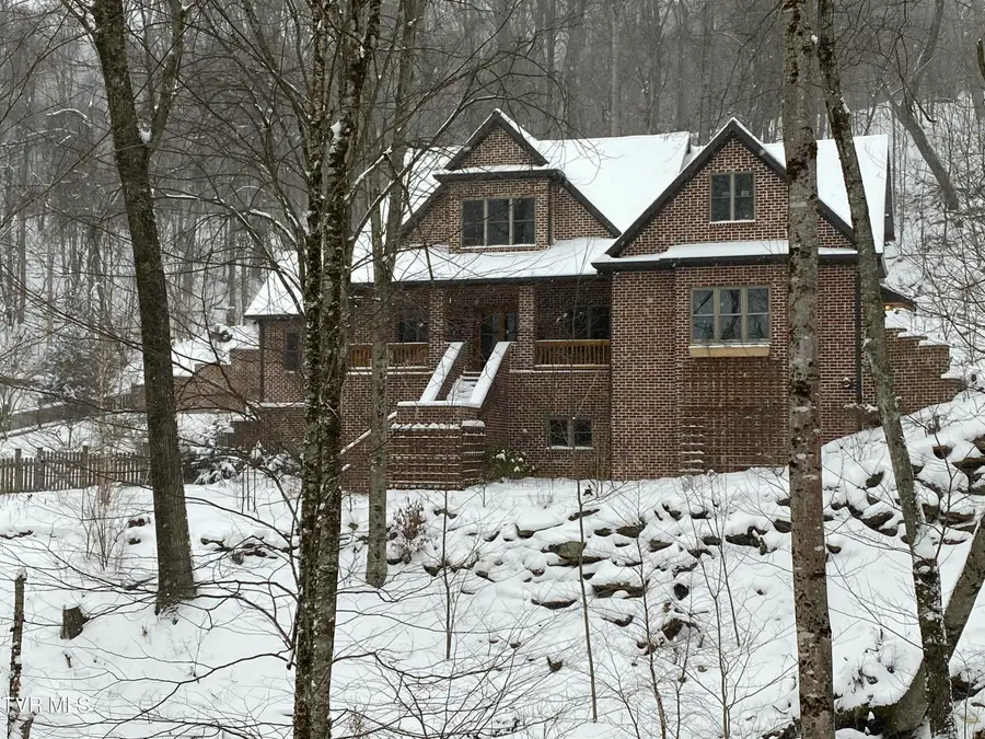 117 Toms Creek Drive, Roan Mountain, TN 37687 - #2