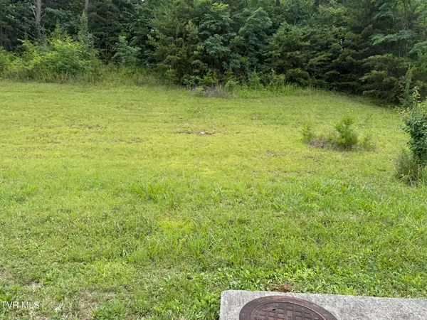 142 Brighton Place, Bristol, TN 37620