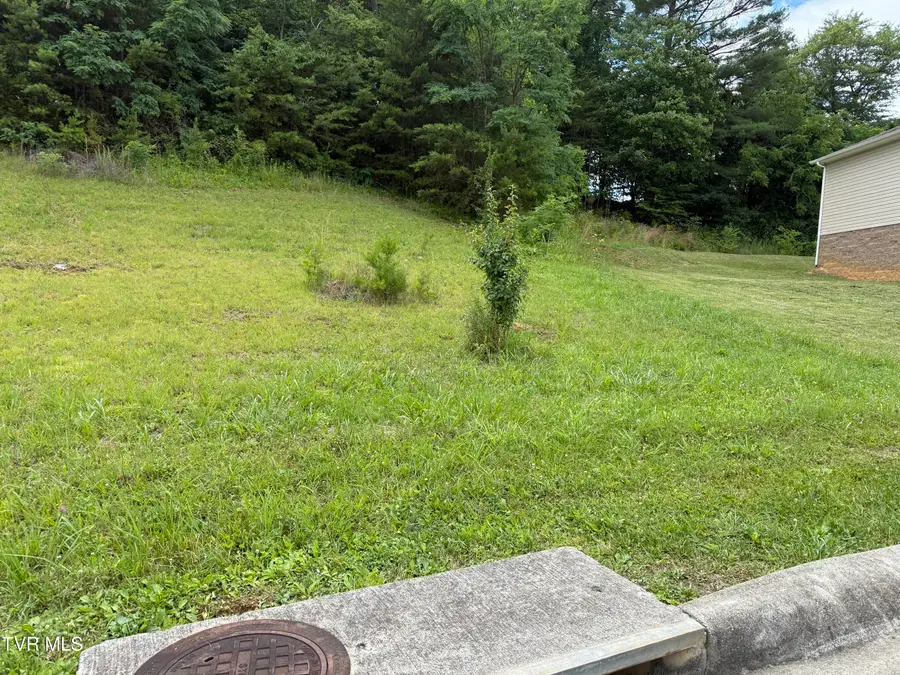 142 Brighton Place, Bristol, TN 37620 - #2