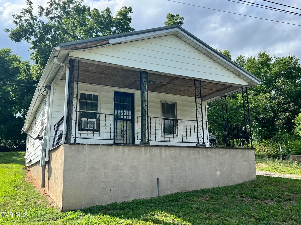 113 Sycamore Street, Greeneville, TN 37745 - #1