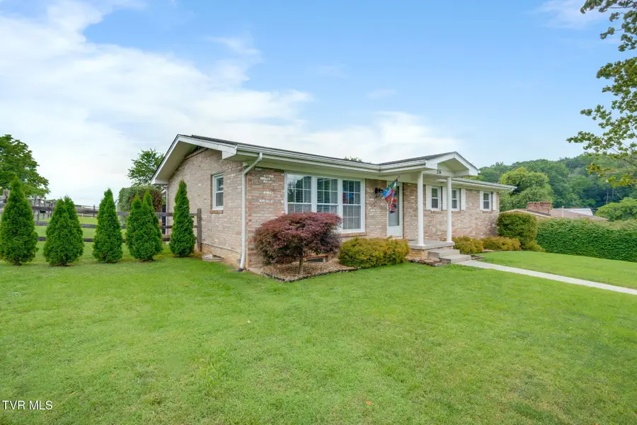 236 Minuteman Drive, Bluff City, TN 37618 - #3