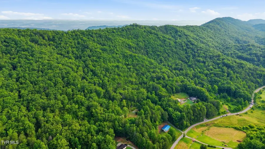 965 Grassy Creek Road, Rogersville, TN 37857 - #3