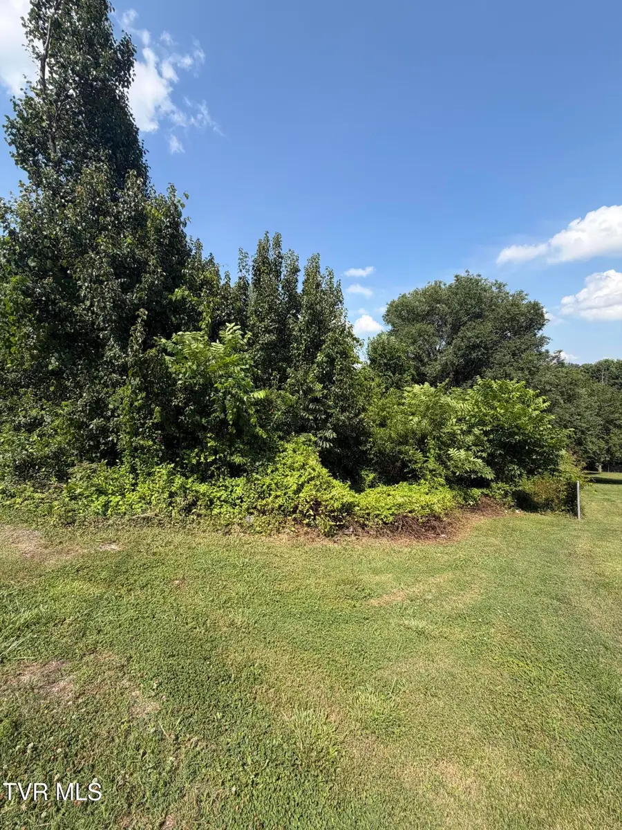 476 Virgil Avenue, Kingsport, TN 37665 - #2