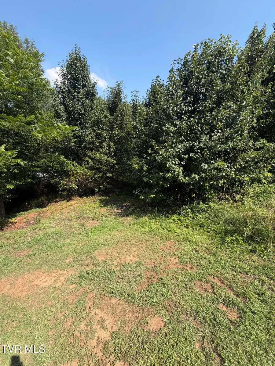 476 Virgil Avenue, Kingsport, TN 37665 - #3