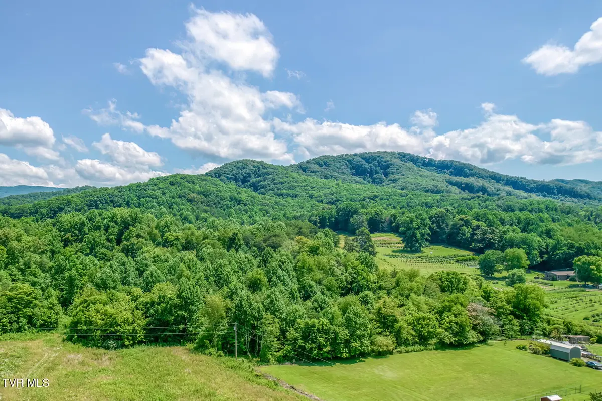 1685 Highway 107 - 22 Acre, Jonesborough, TN 37659 - #1