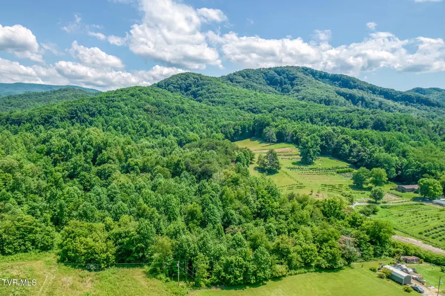 1685 Highway 107 - 22 Acre, Jonesborough, TN 37659 - #2