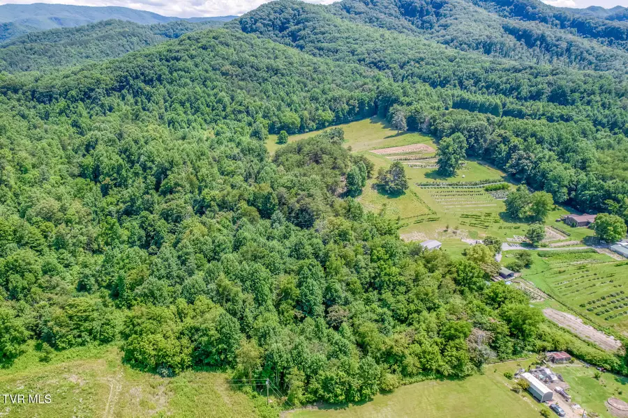 1685 Highway 107 - 22 Acre, Jonesborough, TN 37659 - #3