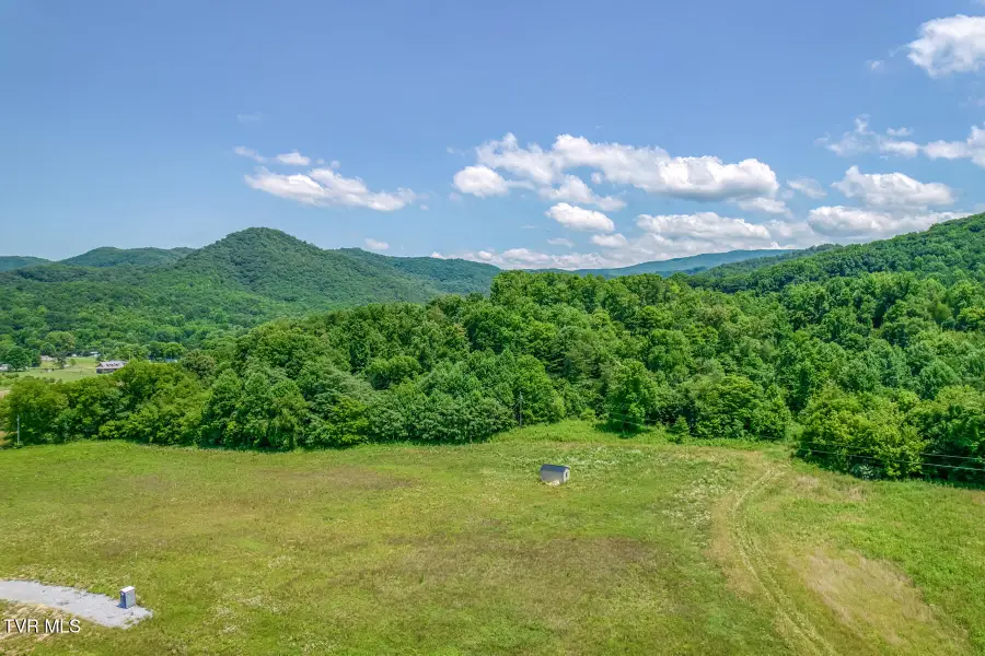 1685 Highway 107 - 52 Acre, Jonesborough, TN 37659 - #3