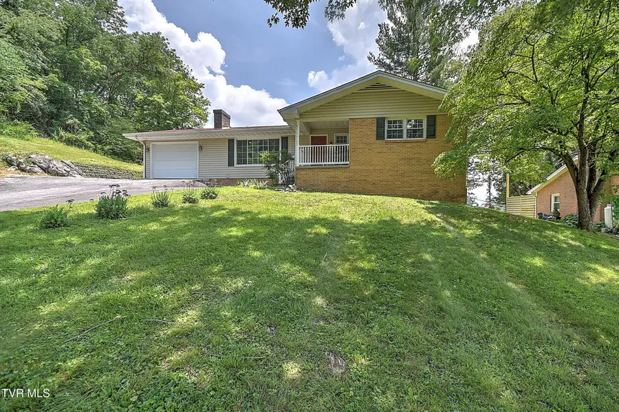 195 Pineview Drive, Bristol, VA 24201 - #2