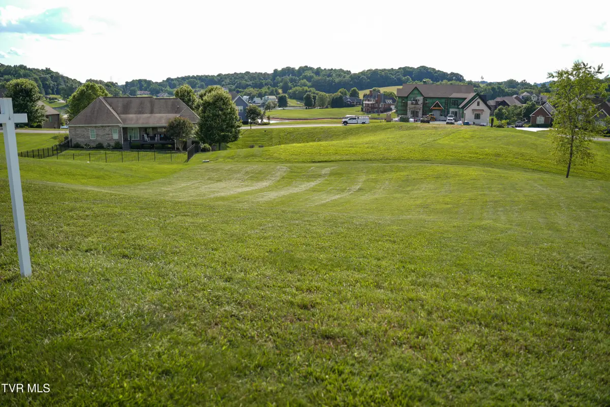 112 Cardinal Point, Blountville, TN 37617 - #1