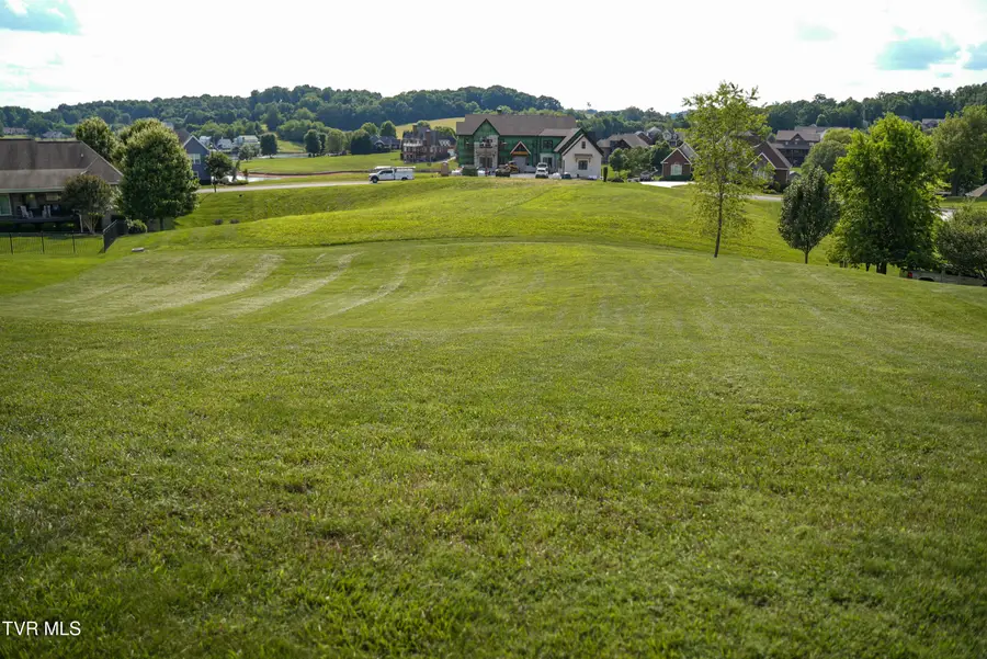 112 Cardinal Point, Blountville, TN 37617 - #3