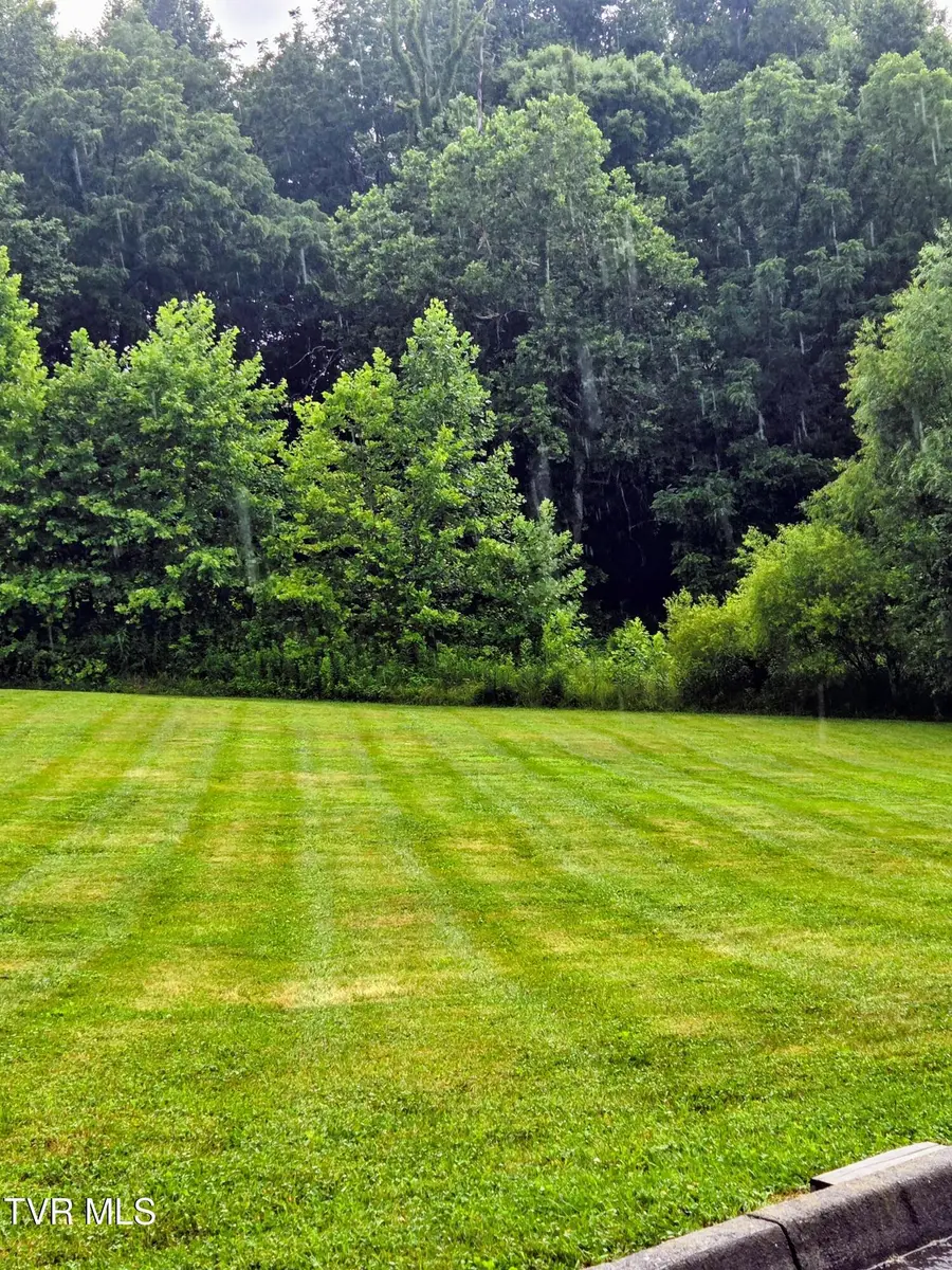 104 Spirit Drive, Elizabethton, TN 37643 - #3
