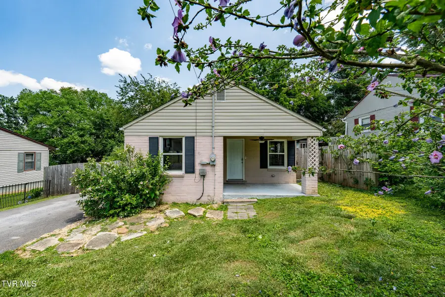 2904 Dorothy Street, Johnson City, TN 37604 - #2