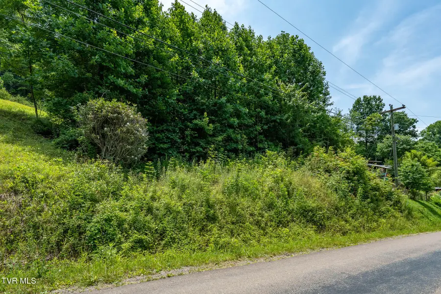 Tbd Sink Valley Road, Butler, TN 37640 - #2