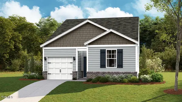 317 Chimney View Loop, Blountville, TN 37617