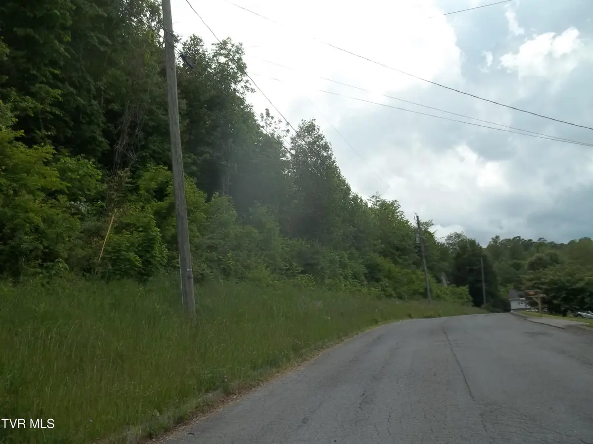425 Creekside Drive, Mount Carmel, TN 37645 - #1