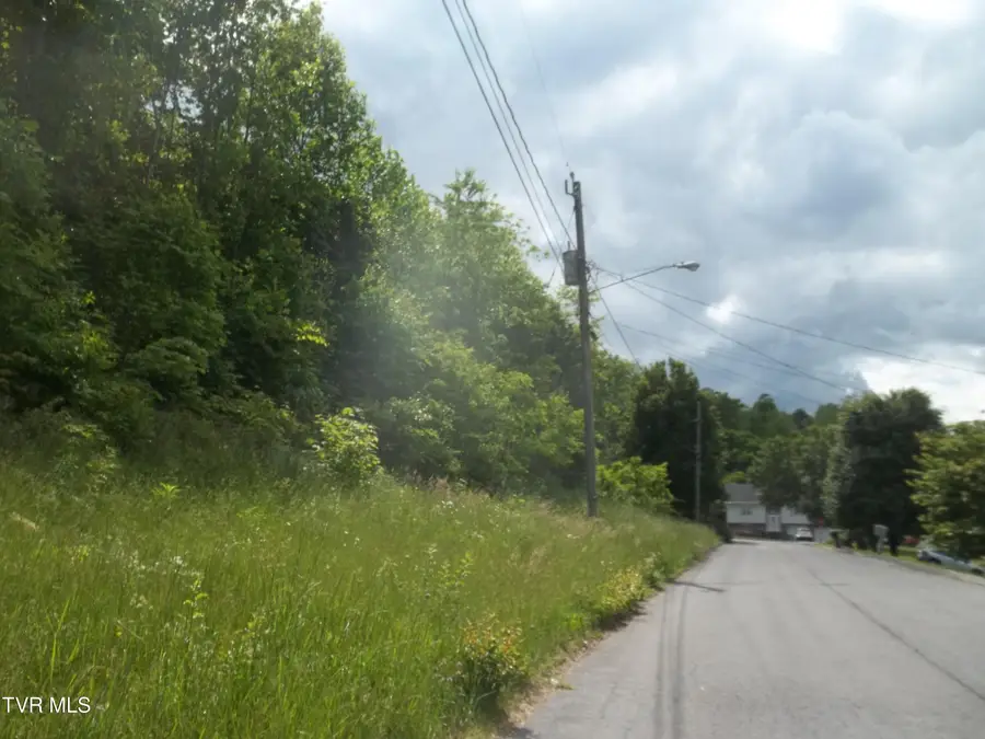 425 Creekside Drive, Mount Carmel, TN 37645 - #2