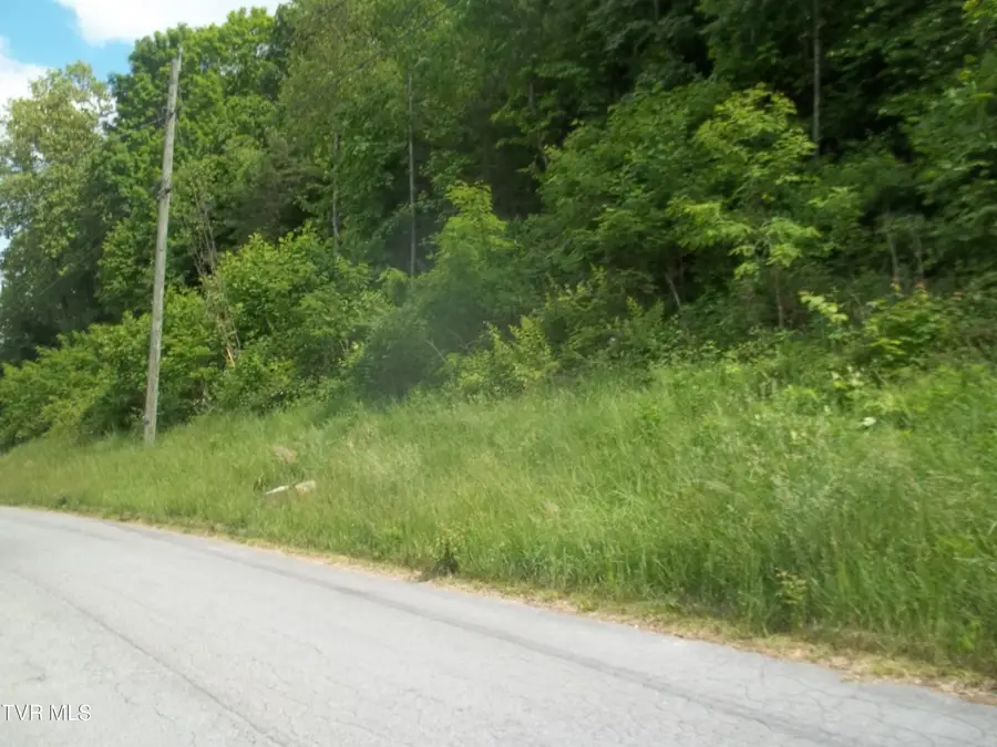 425 Creekside Drive, Mount Carmel, TN 37645 - #3
