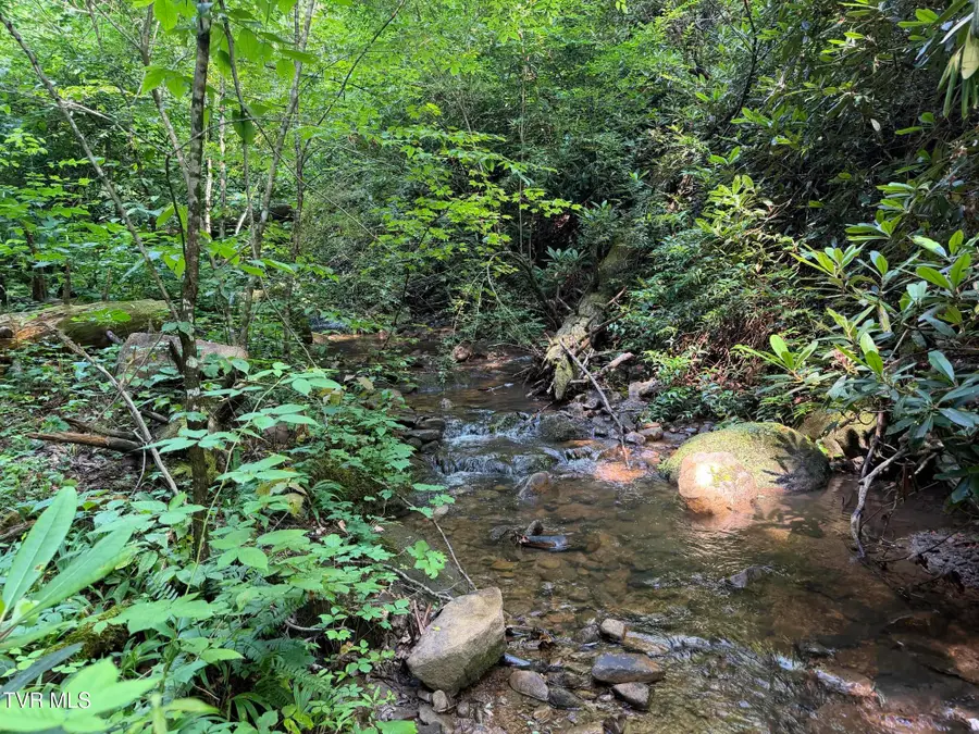 0 East Highway 25-70 Off, Del Rio, TN 37727 - #3