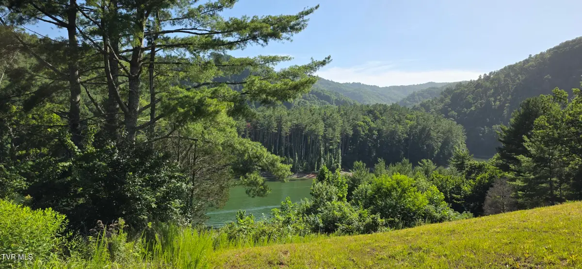 Tbd Lake View Drive, Butler, TN 37640 - #1