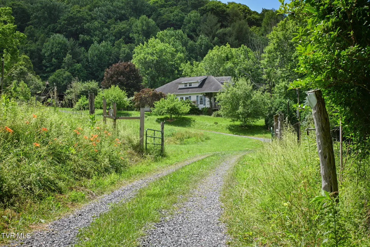 120 Teaberry Road, Roan Mountain, TN 37687 - #1