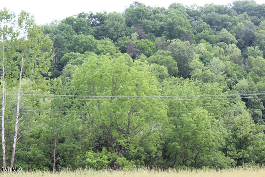 1000 Key Hole, Fort Blackmore, VA 24250 - #3