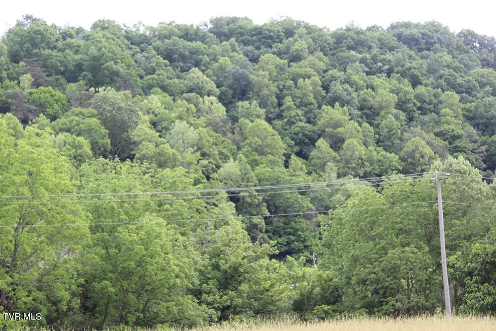 000 Dingus Hollow Rd Lane, Fort Blackmore, VA 24250 - #1