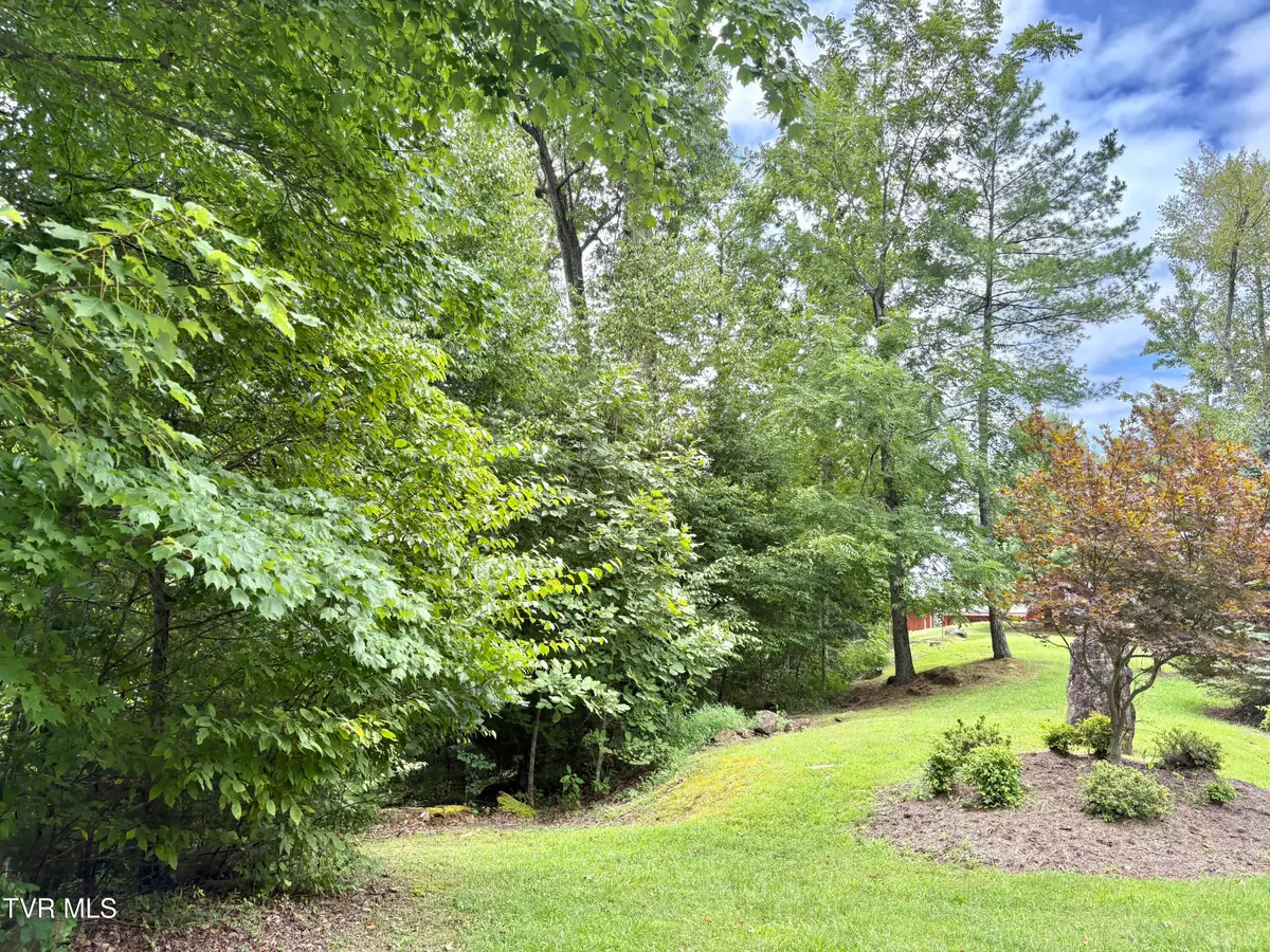 Lot 30 Rock Island, Butler, TN 37640 - #1