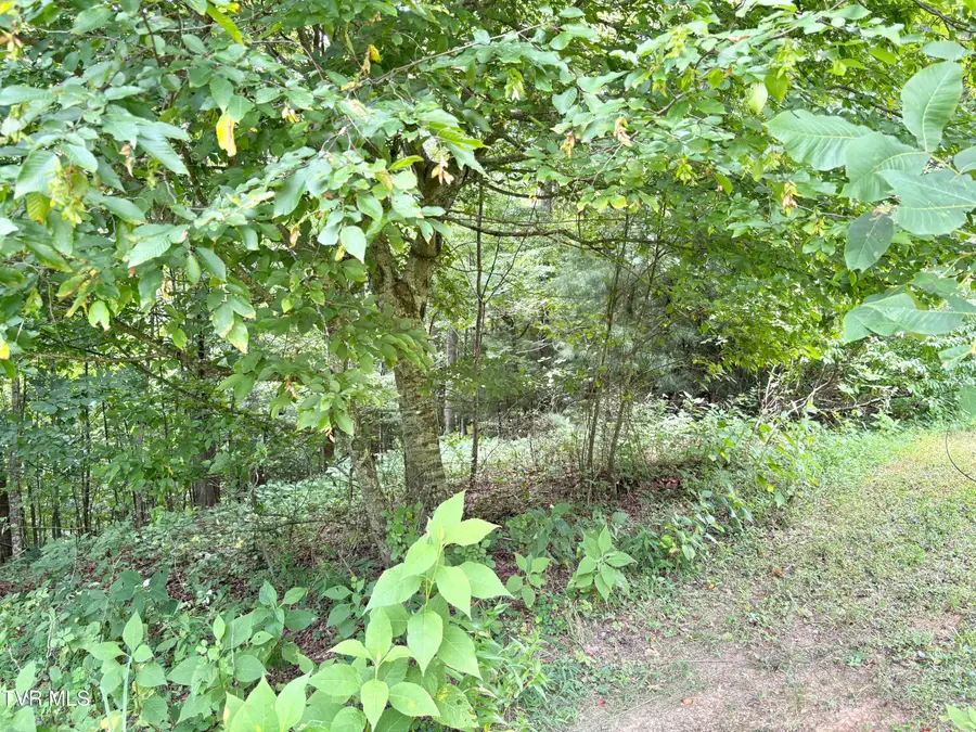 Lot 30 Rock Island, Butler, TN 37640 - #2
