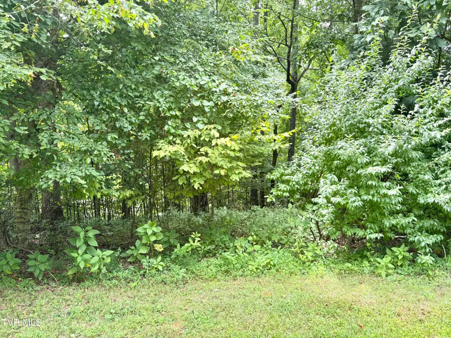 Lot 30 Rock Island, Butler, TN 37640 - #3