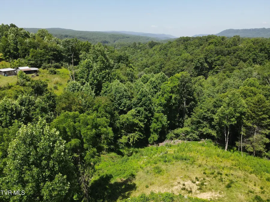 12708 River Lane, Coeburn, VA 24230 - #3