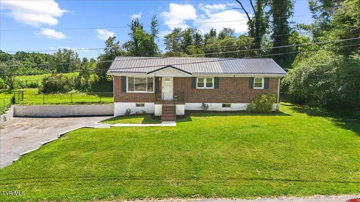 117 Larkins Street, Bristol, TN 37620 - #1