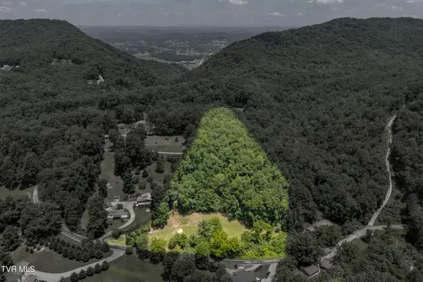 241 Bays Mountain Road, Rogersville, TN 37857
