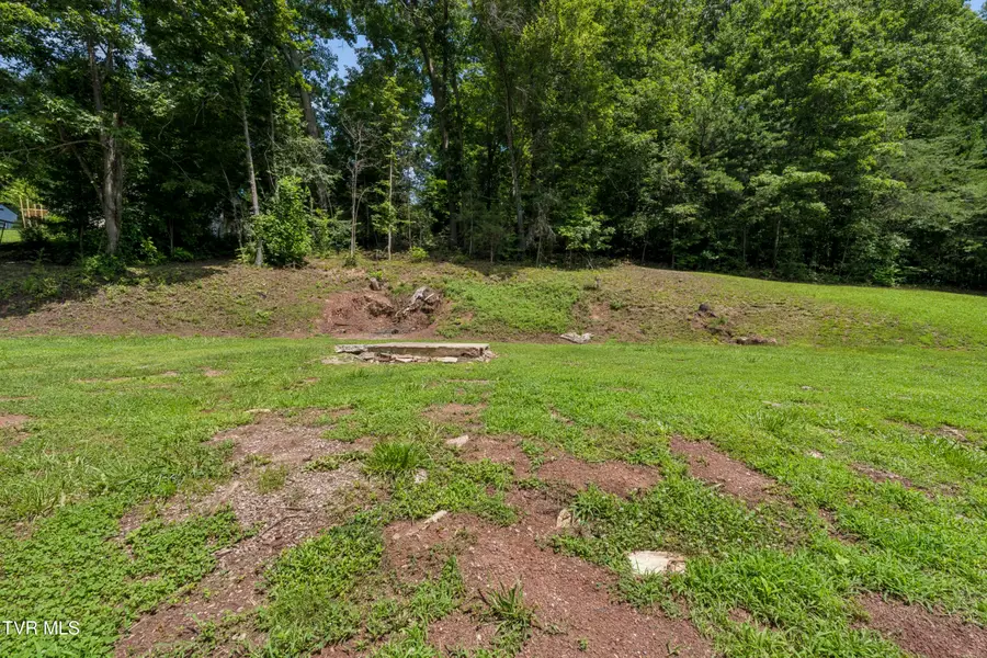 241 Bays Mountain Road, Rogersville, TN 37857 - #3