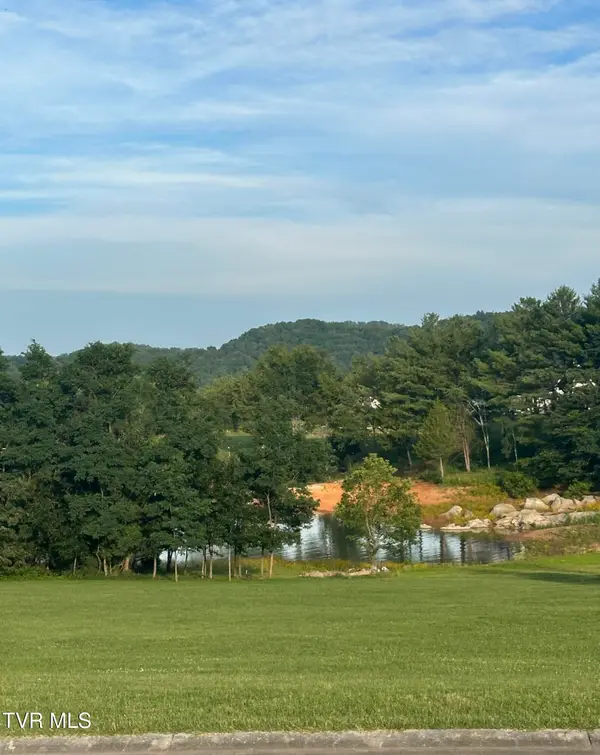 6022 Paradise Cove Drive, Mooresburg, TN 37811