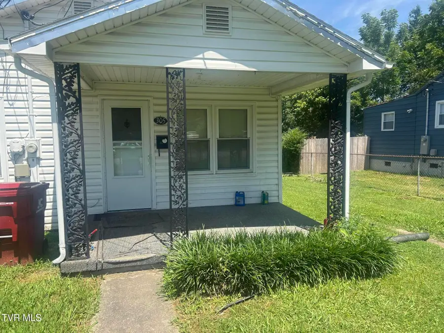 305 Dyer Street, Johnson City, TN 37601 - #3